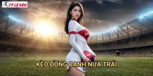 Kèo đồng banh nửa trái Tỷ lệ kèo us - Chiến Lược Cá Cược Kèo Hòa Nửa Trái Dành Cho Cao Thủ