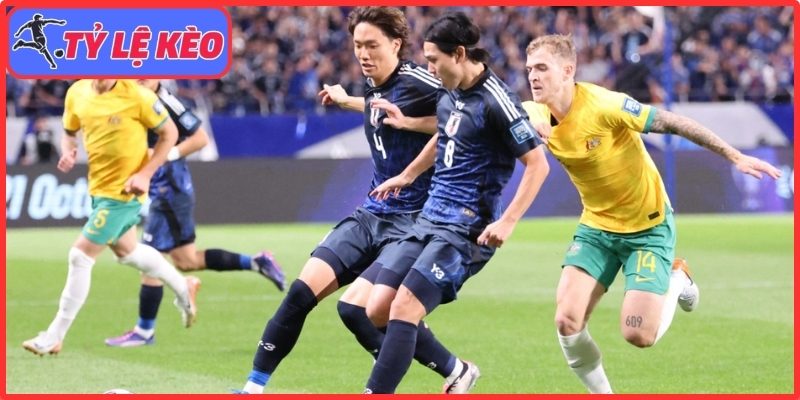 Nhật Bản gây sốc khi loại Minamino, Mitoma khỏi danh sách World Cup 2026 4 Nhật Bản đối diện thử thách nặng ký ở World Cup