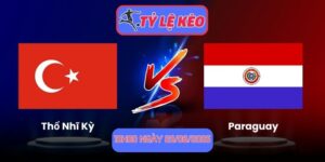 hổ Nhĩ Kỳ vs Paraguay